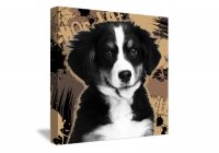 Portrait Pop 80x80cm Chocolat