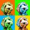 Tableau chien Pop Art 3 &#x00002192; JE SÉLECTIONNE LA COULEUR DE FOND : Orange