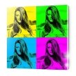 Tableaux plexi pop art